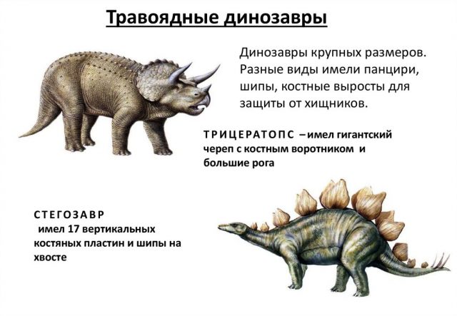 Открытки